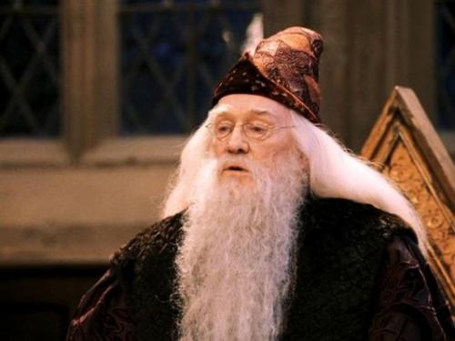 q posket dumbledore