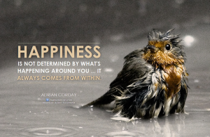 Screen Shot 2014-04-08 at 11.39.50 AM