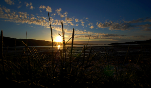 Screen Shot 2014-09-15 at 11.09.47 AM