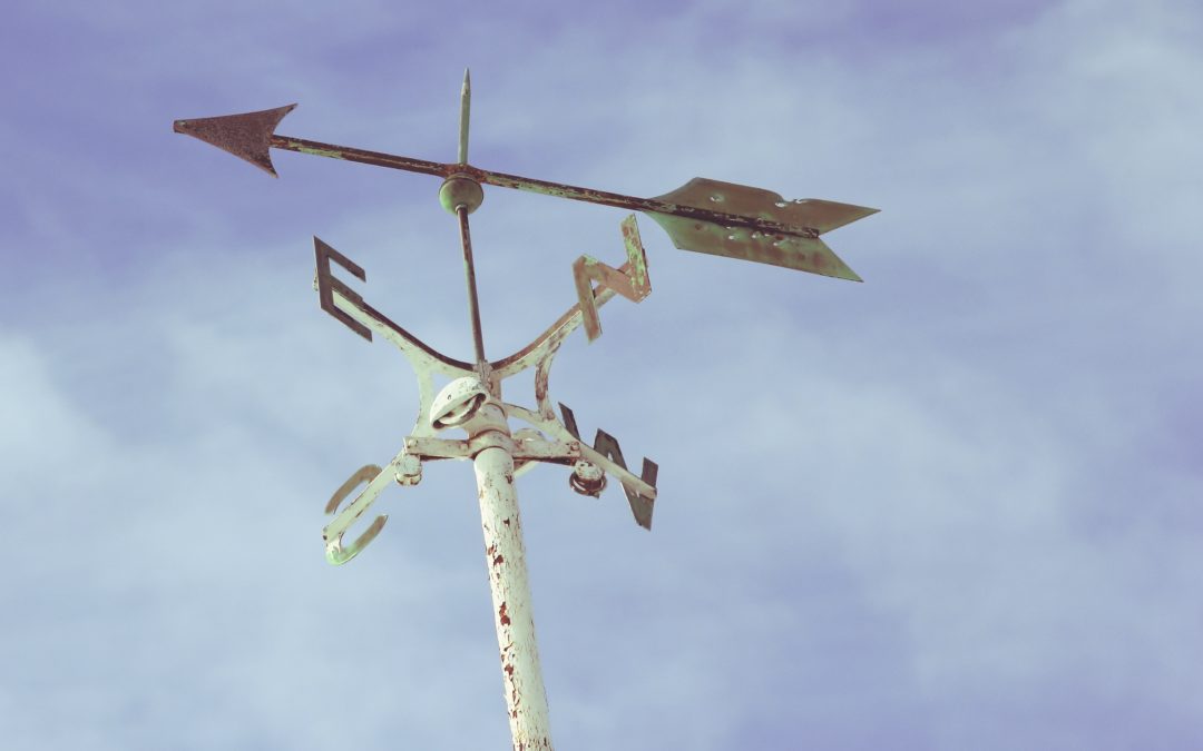 Which Way Will You Face?