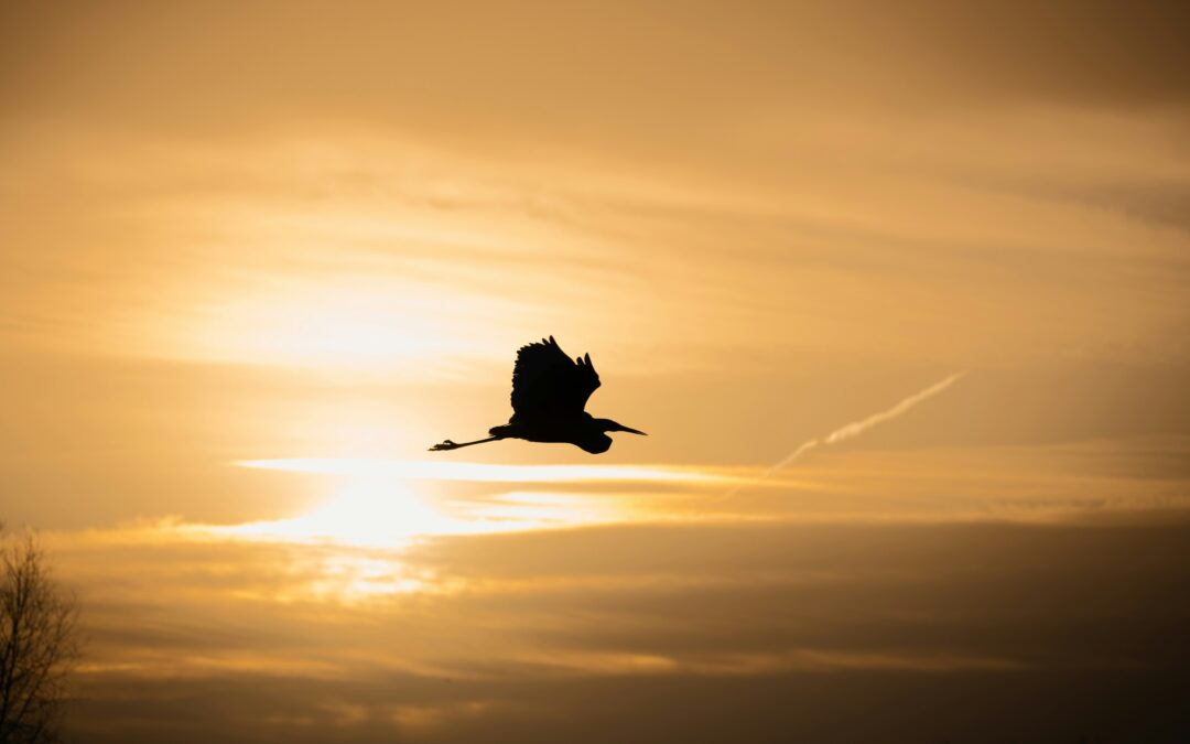 Helping People Grow, Even If They Leave: A New Kind of Leadership Loyalty