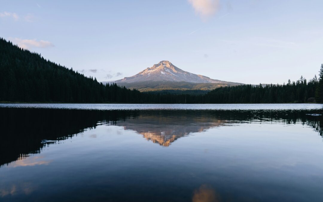 The Patience of Progress: Why Mental Health and Growth Take Time