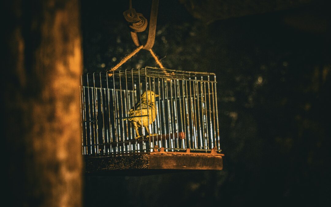 Why Defensiveness Feels Like Strength to Leaders