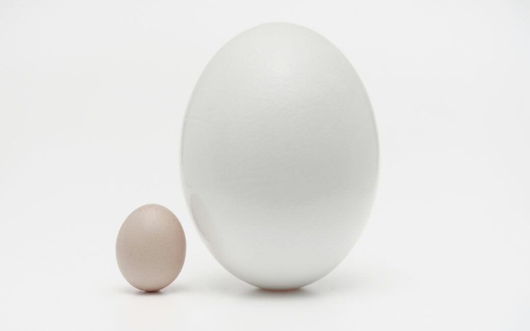 How to Raise a Leadership Issue When You’re Not the One in Charge